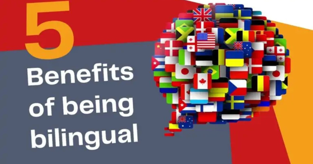 Benefits of Bilingual Education and Modern Foreign Languages in UK Schools